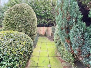 Photo 19- click for photo gallery